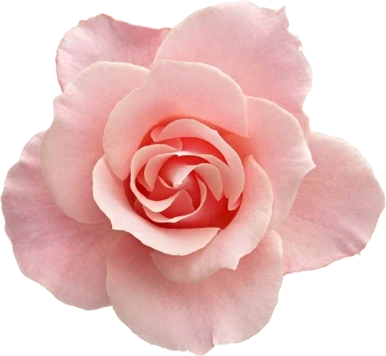 Round Ashtray windproof Eco-Friendly Portable Cars Home Smoke Accessory Heat Resistant
Round Ashtray windproof Eco-Friendly Portable Cars Home Smoke Accessory Heat Resistant