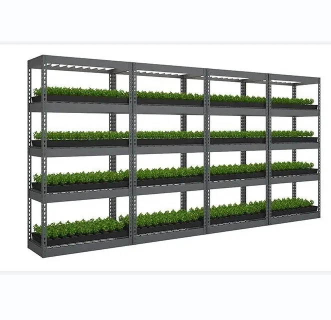 Indoor Cultivation Solution Multi-tier Growing Vertical Benches Grow Rack Hydroponic System
Indoor Cultivation Solution Multi-tier Growing Vertical Benches Grow Rack Hydroponic System