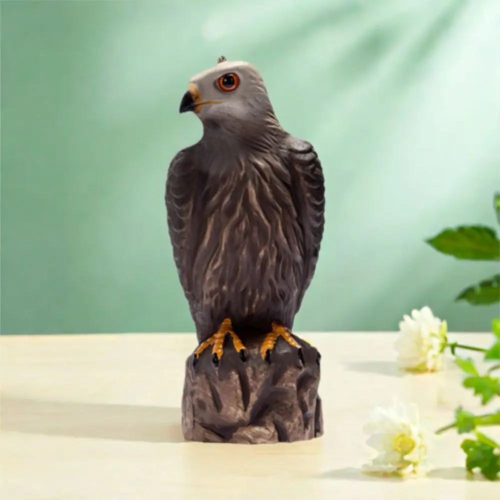 Lifelike Garden Eagle Statue Sturdy Realistic Eagle Repellents Statue Waterproof Resin Crafts Falcon Statue Home Garden Decor
Lifelike Garden Eagle Statue Sturdy Realistic Eagle Repellents Statue Waterproof Resin Crafts Falcon Statue Home Garden Decor