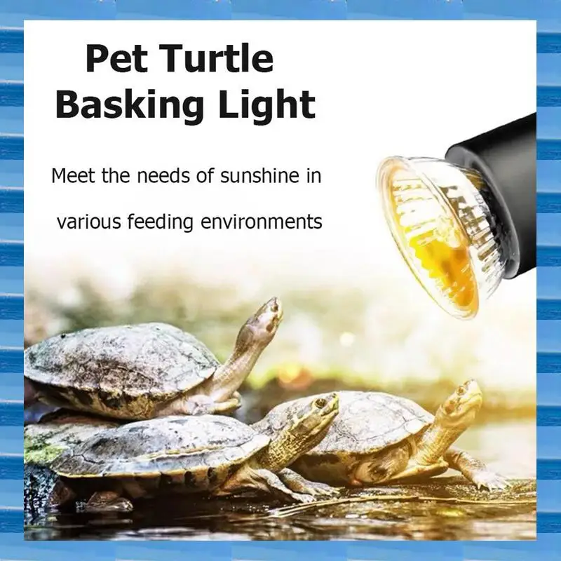 AT53 10PCS Reptile Lamp Bulb Turtle Basking UV Light Bulbs Heating Light Full Spectrum Sunlamp For Amphibians
AT53 10PCS Reptile Lamp Bulb Turtle Basking UV Light Bulbs Heating Light Full Spectrum Sunlamp For Amphibians