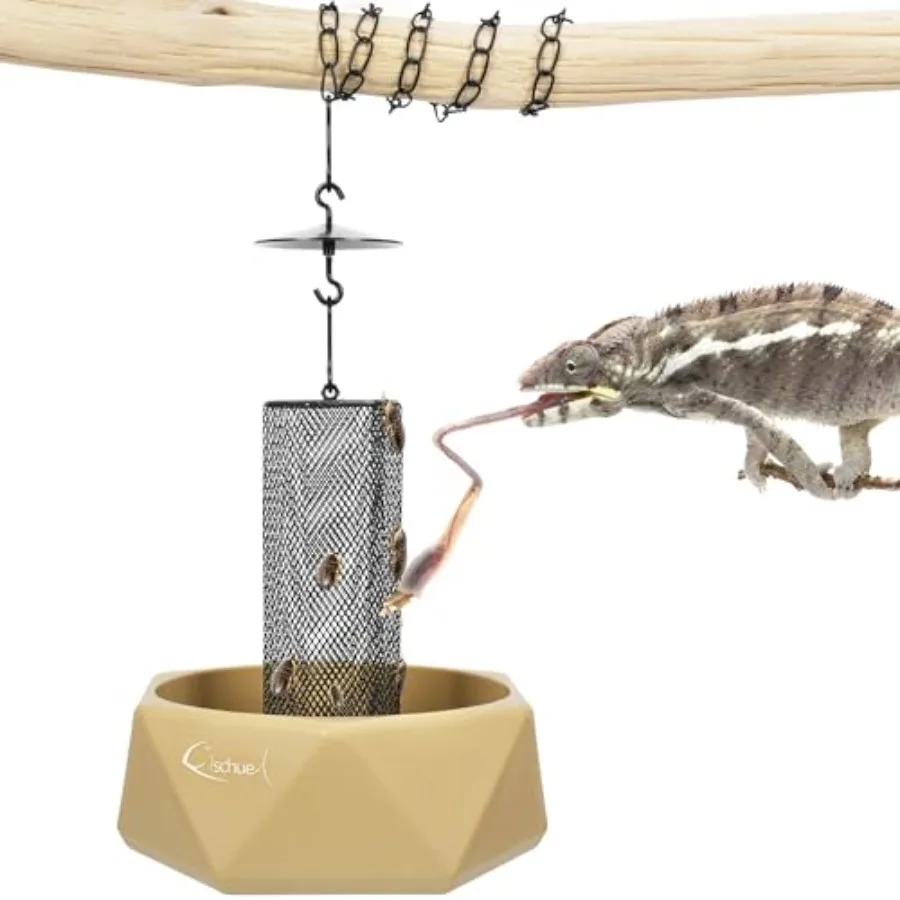 【Spot goods】Chameleon Feeding Bowl Hanging Insect Feeder with a Pillar for Prey to Climb Up Suitable for Chameleon Bearded Drag
【Spot goods】Chameleon Feeding Bowl Hanging Insect Feeder with a Pillar for Prey to Climb Up Suitable for Chameleon Bearded Drag