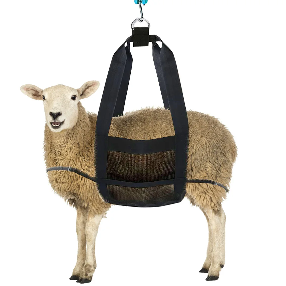 Livestock Weighing Supplies Lamb Calf Pig Baby Weighing Device Small Animal Weighing Machine
Livestock Weighing Supplies Lamb Calf Pig Baby Weighing Device Small Animal Weighing Machine