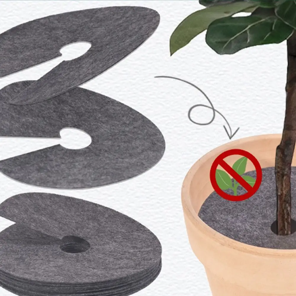 20pcs Degradable Round Weeds Barrier Mats Moisturizing Non-woven Tree Protector Mat Breathable Flower Pot Pad
20pcs Degradable Round Weeds Barrier Mats Moisturizing Non-woven Tree Protector Mat Breathable Flower Pot Pad