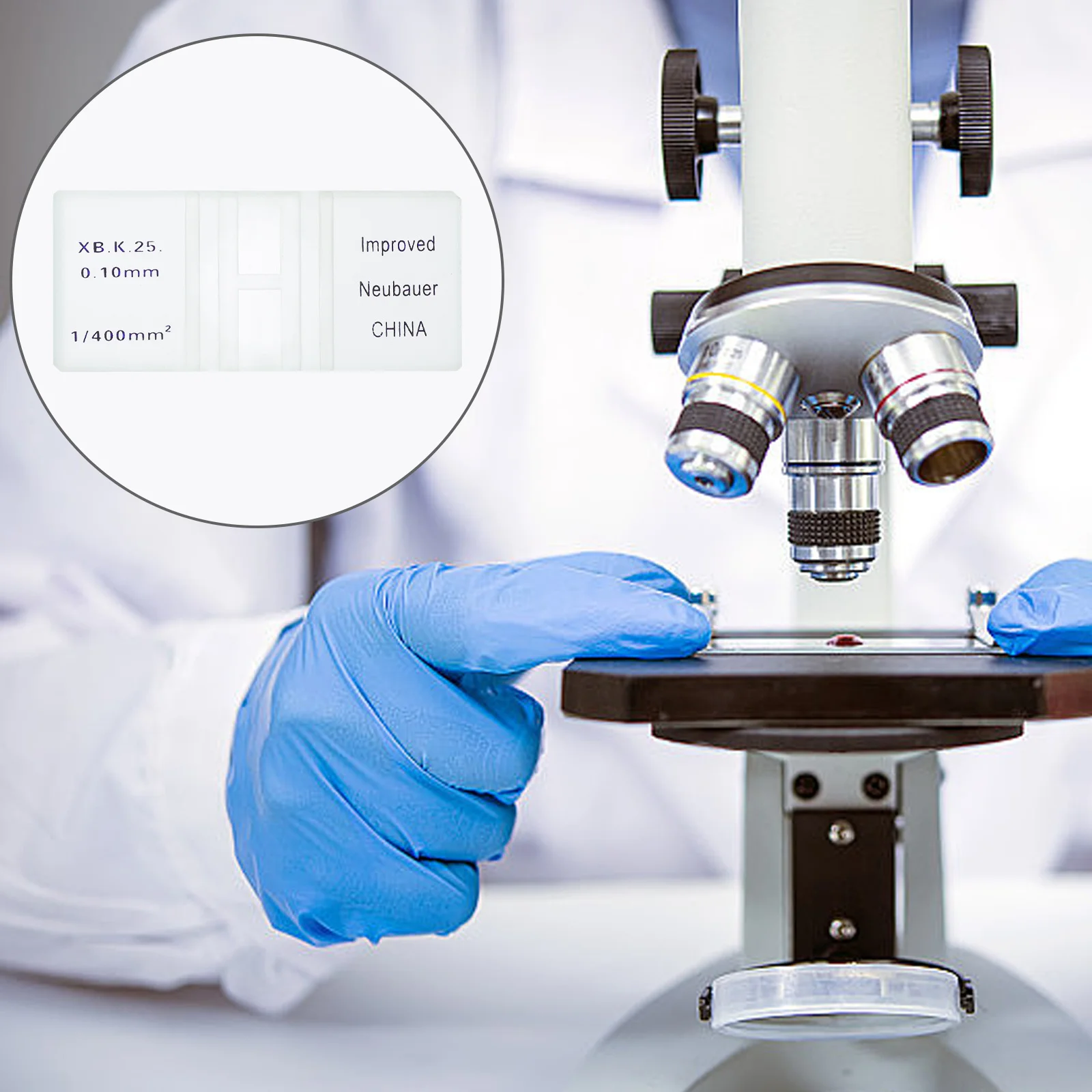 Blood Counting Chamber Cell Counting Chamber Blood Counting Board Cell Counting Board Hemocytometer Board 
Blood Counting Chamber Cell Counting Chamber Blood Counting Board Cell Counting Board Hemocytometer Board