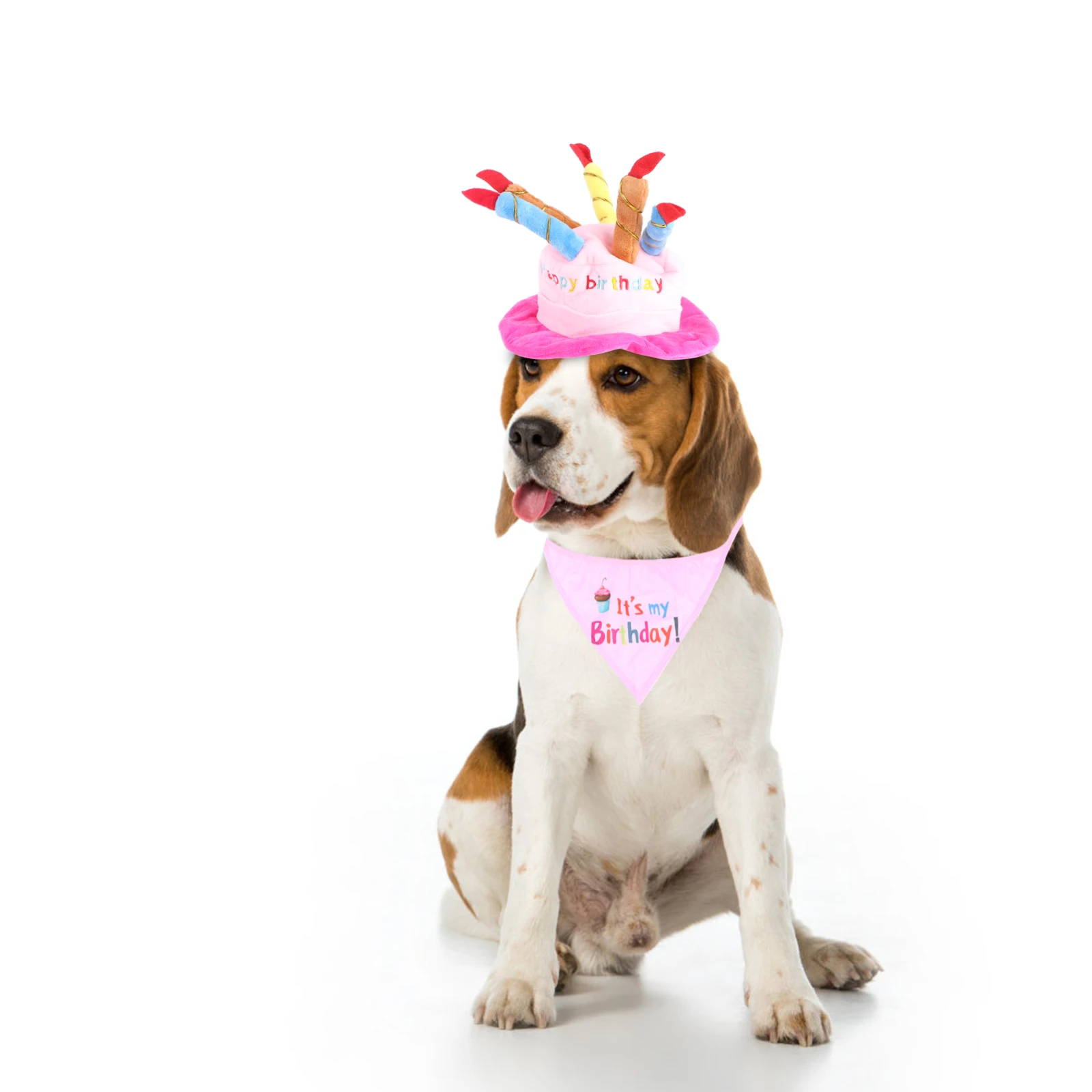 Dog Birthday Hat Collar Pet Party Decorations Puppy Accessories Bibs for Dogs Celebrations Dog Collar Decor Pet Supplies
Dog Birthday Hat Collar Pet Party Decorations Puppy Accessories Bibs for Dogs Celebrations Dog Collar Decor Pet Supplies