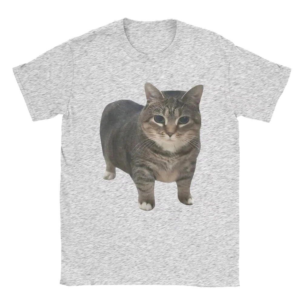Новая женская футболка OIIA Spinning Cat Meme, забавная футболка с короткими рукавами и круглым вырезом, летние топы
Новая женская футболка OIIA Spinning Cat Meme, забавная футболка с короткими рукавами и круглым вырезом, летние топы