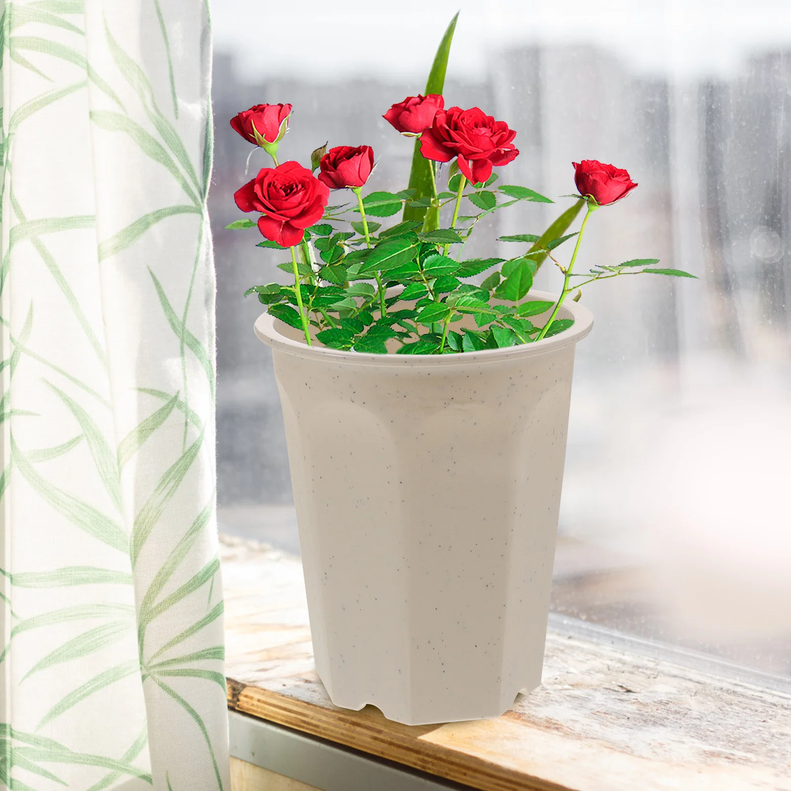 8pcs High Waist Flower Pot Deep Nursery Pots Plastic Planter White Gardening Multipurpose Planting Pots Succulent Planters
8pcs High Waist Flower Pot Deep Nursery Pots Plastic Planter White Gardening Multipurpose Planting Pots Succulent Planters