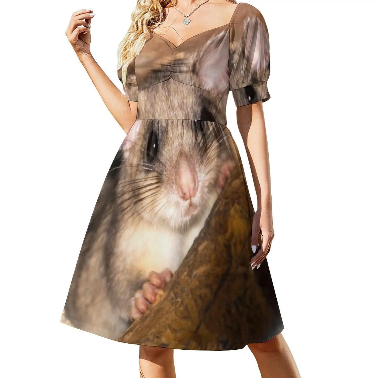 Dormouse Short-Sleeved Dress Dresses for wedding party evening dress ladies Long veiled dresses luxury woman evening dress
Dormouse Short-Sleeved Dress Dresses for wedding party evening dress ladies Long veiled dresses luxury woman evening dress