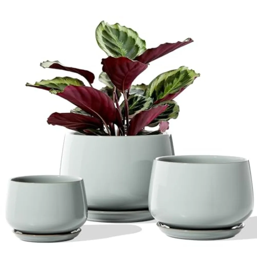 Plant Pots for Indoor Plants, 4.1+5.1+6.5 inch, Set of 3, Ceramic Planters with Drainage Hole and Saucer, Indoor Flower Pot wit
Plant Pots for Indoor Plants, 4.1+5.1+6.5 inch, Set of 3, Ceramic Planters with Drainage Hole and Saucer, Indoor Flower Pot wit