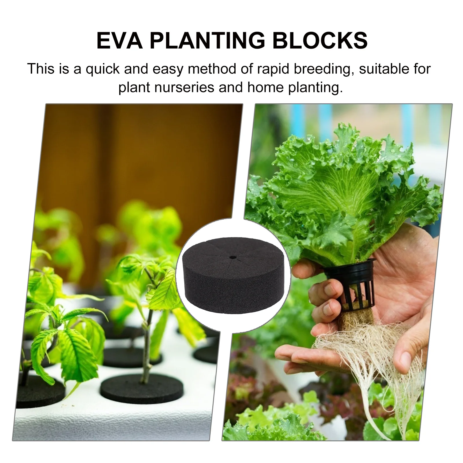 30 pcs Water Cultivation Sponge Eva Planting Blocks Nutrient-Rich Soilless Growing Medium For Home Garden Nursery Gardening
30 pcs Water Cultivation Sponge Eva Planting Blocks Nutrient-Rich Soilless Growing Medium For Home Garden Nursery Gardening