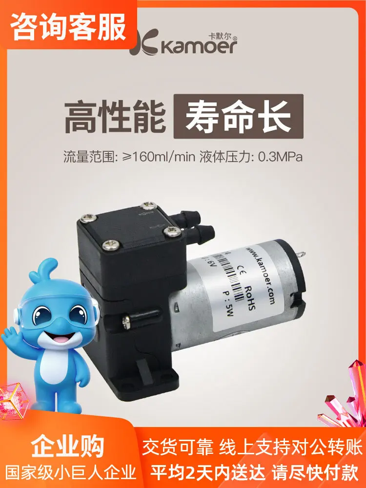 Kamler 12V Hydraulic Pump Membrane Pump Self-Priming Vacuum Pump Negative Pressure Booster Electric Liquid Pump
Kamler 12V Hydraulic Pump Membrane Pump Self-Priming Vacuum Pump Negative Pressure Booster Electric Liquid Pump