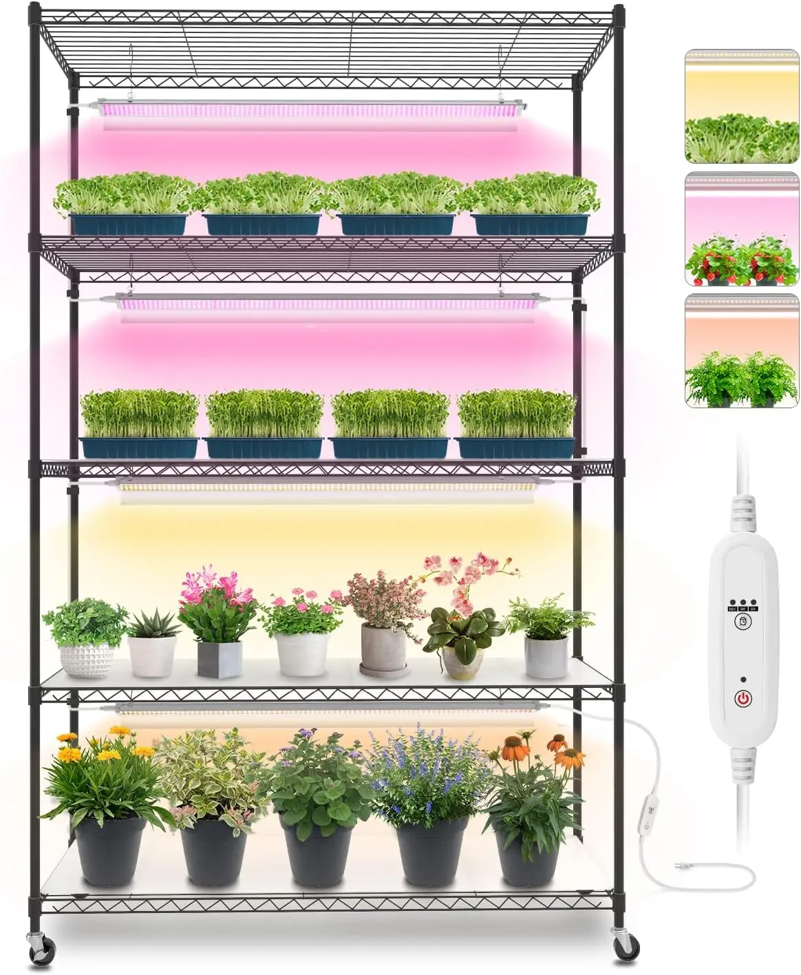 with 3FT T5 144w Grow Light, 3 Mode Full Spectrum LED Plant Light with Timer for Indoor Plants, Spring Seed Starting
with 3FT T5 144w Grow Light, 3 Mode Full Spectrum LED Plant Light with Timer for Indoor Plants, Spring Seed Starting