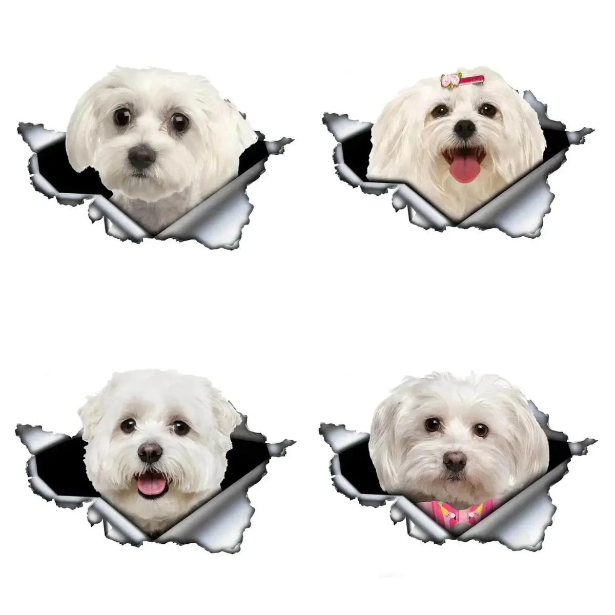 Personality Pet Dog Car Sticker Vinyl Decal Cute Maltese Car Sticker Reflective Sticker Waterproof Car Styling Decoration
Personality Pet Dog Car Sticker Vinyl Decal Cute Maltese Car Sticker Reflective Sticker Waterproof Car Styling Decoration