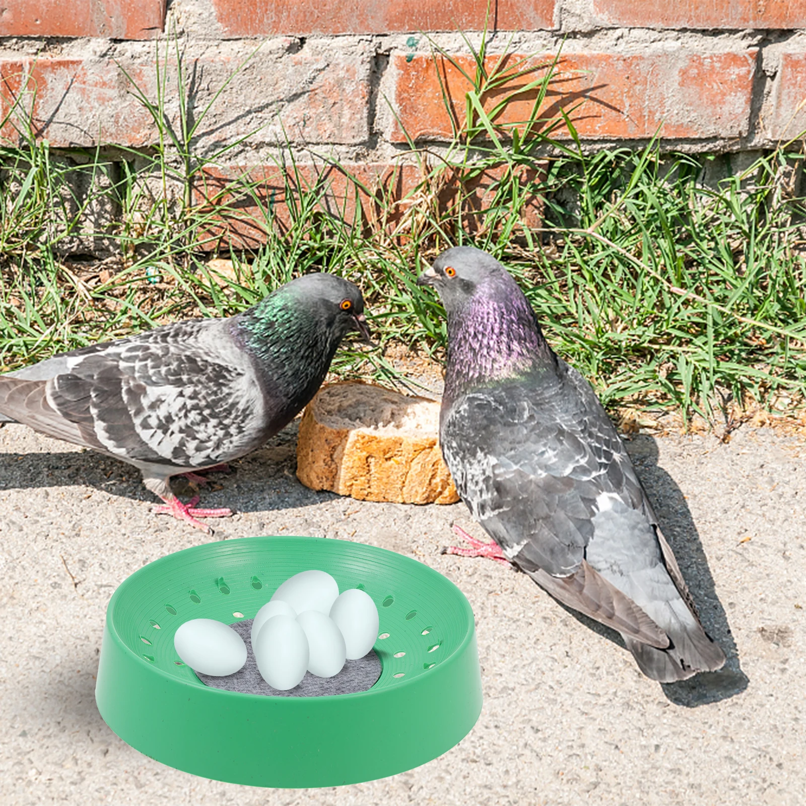 3 pcs Bird Nesting Bowl for Pigeon Egg Laying Lightweight Durable Small Breeding House Pet Supplies Container Accessories
3 pcs Bird Nesting Bowl for Pigeon Egg Laying Lightweight Durable Small Breeding House Pet Supplies Container Accessories