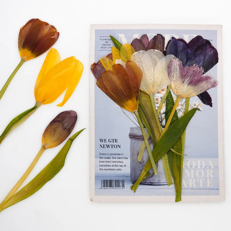 10Pcs Natural Chinese-Style Pressed Tulip Flowers, Dried Flower Branches, Handmade DIY Decoration Materials, Plant Specimens, Frame Ornaments, Handmade Floral Materials, Bookmarks, Scented Candles
10Pcs Natural Chinese-Style Pressed Tulip Flowers, Dried Flower Branches, Handmade DIY Decoration Materials, Plant Specimens, Frame Ornaments, Handmade Floral Materials, Bookmarks, Scented Candles