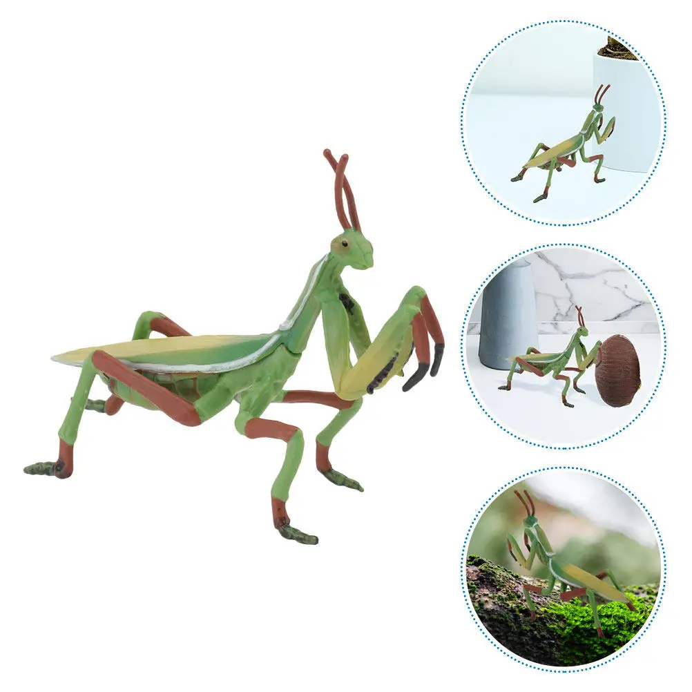 1Pcs Plastic Mantis Realistic Simulation Insect Decoration Kids Plaything Educational Desktop Ornament Home Office Decor
1Pcs Plastic Mantis Realistic Simulation Insect Decoration Kids Plaything Educational Desktop Ornament Home Office Decor