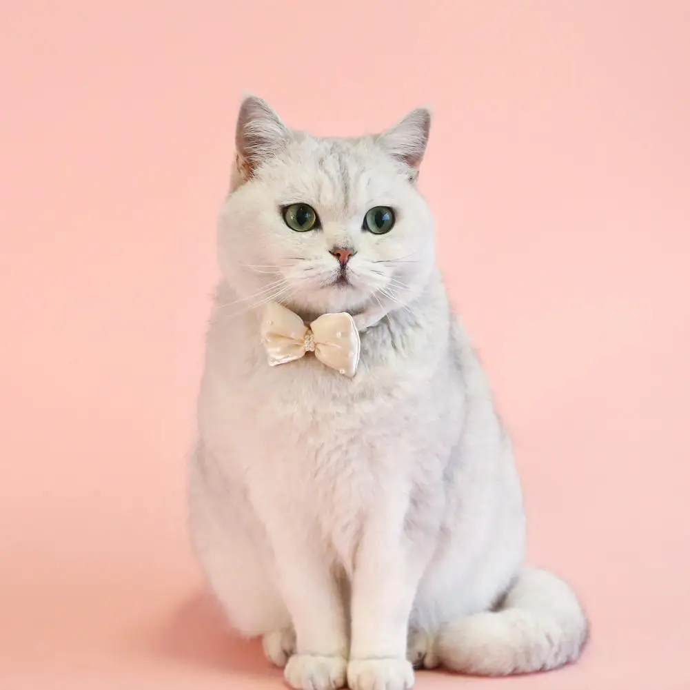 Cat Neck Circle Stylish Adjustable Pet Collars with Bow Heart Pendant Cute Cat Neck Strap Pet Dressing Tool Accessory for Dogs
Cat Neck Circle Stylish Adjustable Pet Collars with Bow Heart Pendant Cute Cat Neck Strap Pet Dressing Tool Accessory for Dogs