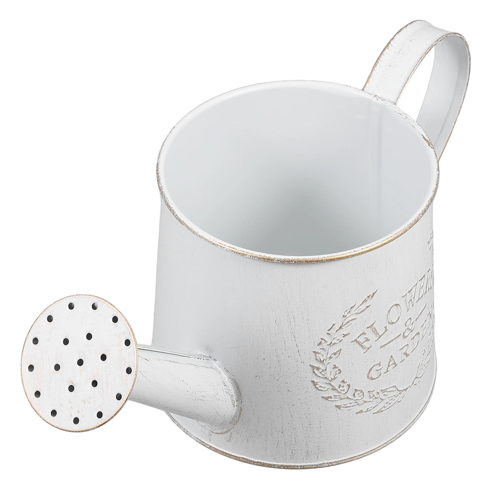 Watering Can Flower Pot for Succulents Decorative Metal Bucket Long Spout Ideal Durable Iron White Handheld
Watering Can Flower Pot for Succulents Decorative Metal Bucket Long Spout Ideal Durable Iron White Handheld