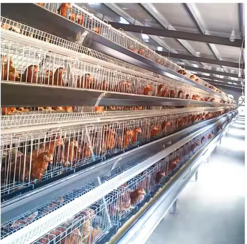 New Fully Automatic Multi-Layer Battery Egg-Laying Cage For Poultry Chicken Coop Feeding Drinking System Motor Pump Bearing Gear
New Fully Automatic Multi-Layer Battery Egg-Laying Cage For Poultry Chicken Coop Feeding Drinking System Motor Pump Bearing Gear