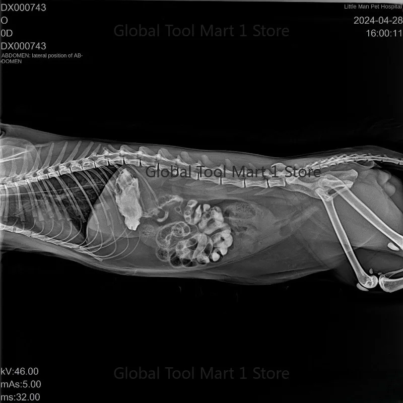 One Pie-ce SS33 Vet DR X-ray Eq-uipm-ent Dyn-amic Static Radi-ogra-phy with Inte-grated The-rmome-ter for Ca-ts D-ogs
One Pie-ce SS33 Vet DR X-ray Eq-uipm-ent Dyn-amic Static Radi-ogra-phy with Inte-grated The-rmome-ter for Ca-ts D-ogs