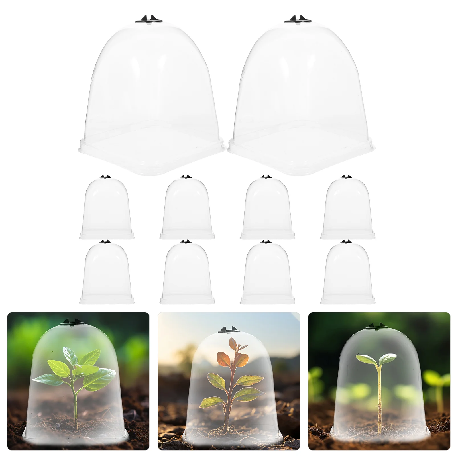 10 Pcs Insulation Cover Plastic Planter Garden Cloche Covers Gardening Tool Transparent Dome
10 Pcs Insulation Cover Plastic Planter Garden Cloche Covers Gardening Tool Transparent Dome
