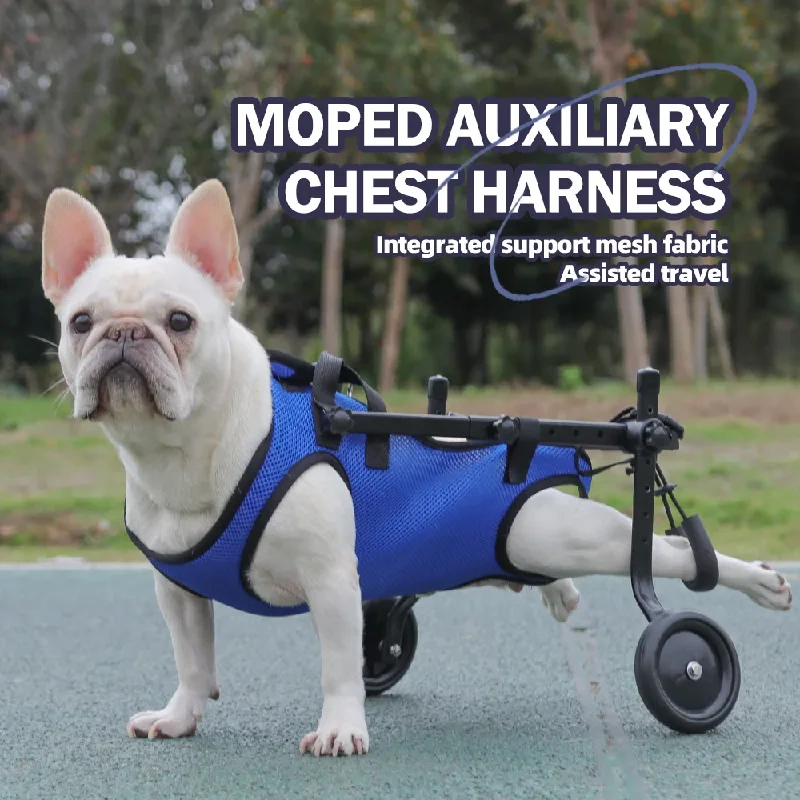 Disability dog travel assistive vehicle chest and back harness, dog rehabilitation exercise chest and back pet supplies
Disability dog travel assistive vehicle chest and back harness, dog rehabilitation exercise chest and back pet supplies