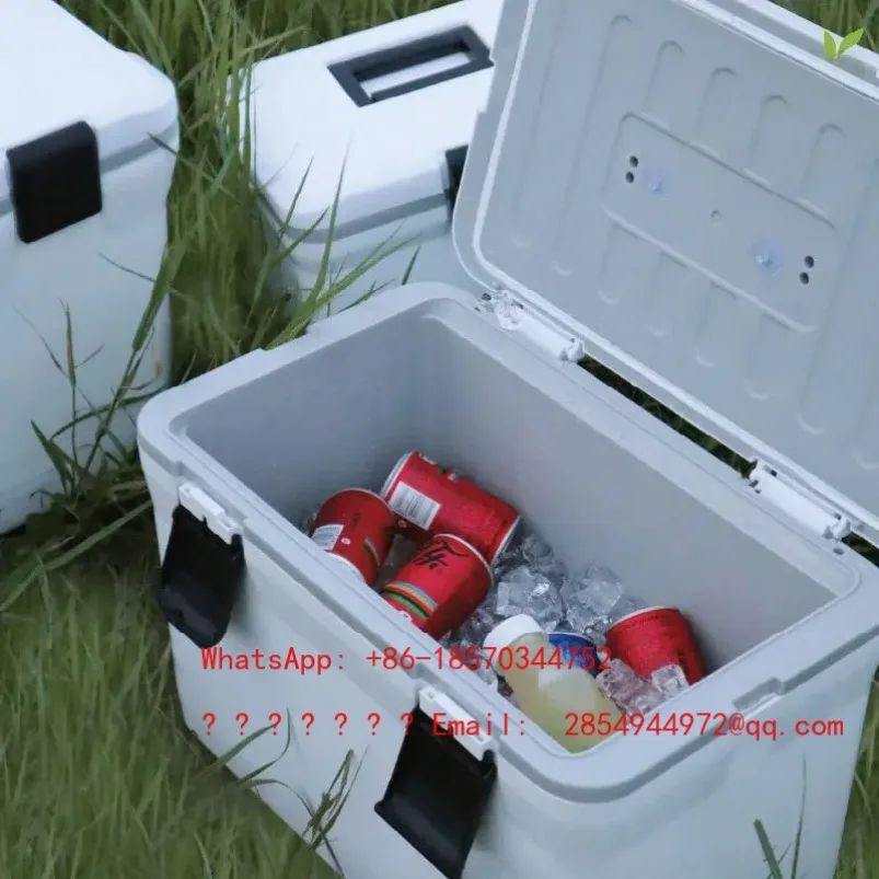 2026 Outdoor Cold Incubator Camping Ice Cube Portable Small Refrigerator
2026 Outdoor Cold Incubator Camping Ice Cube Portable Small Refrigerator