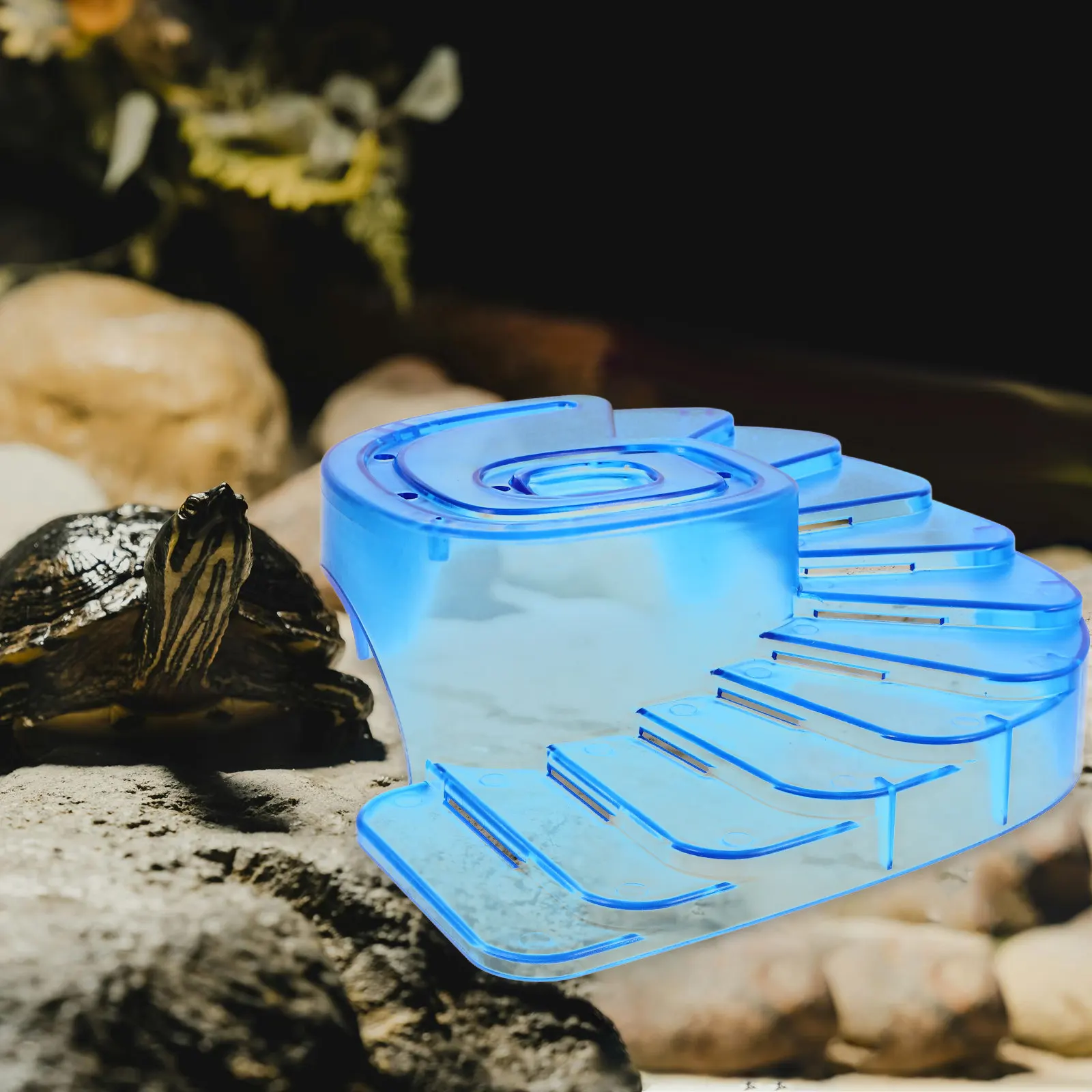 1 шт. Премиум-терраса для сушки и отдыха черепах и рептилий, для стеклянных террариумов, товары для домашних черепах
1 шт. Премиум-терраса для сушки и отдыха черепах и рептилий, для стеклянных террариумов, товары для домашних черепах