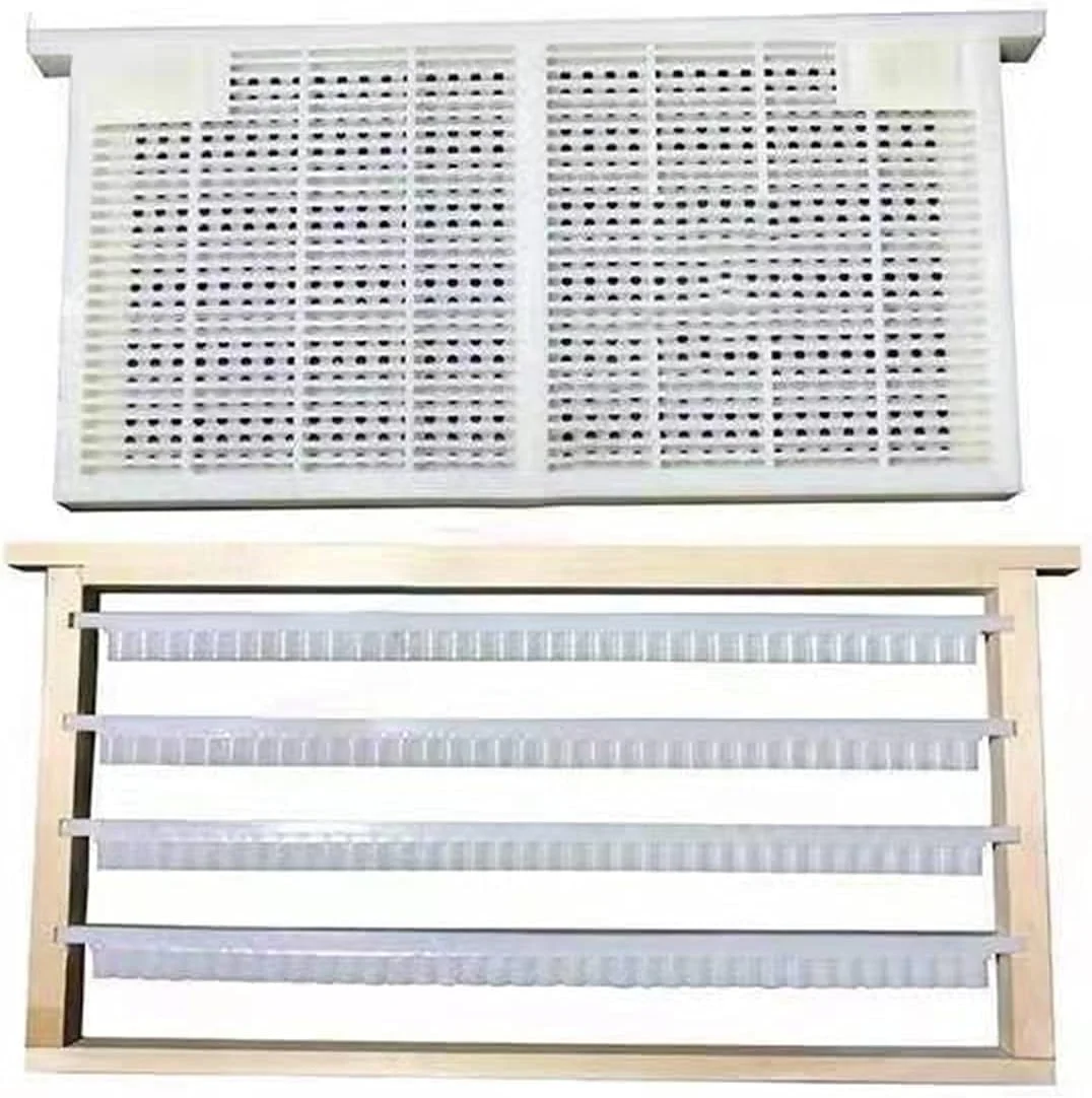 Beekeeping Complete CQR-3C Queen Rearing System No Graft Queen Rearing Kit For Queen Rearing Royal Jelly Producing Equipment
Beekeeping Complete CQR-3C Queen Rearing System No Graft Queen Rearing Kit For Queen Rearing Royal Jelly Producing Equipment