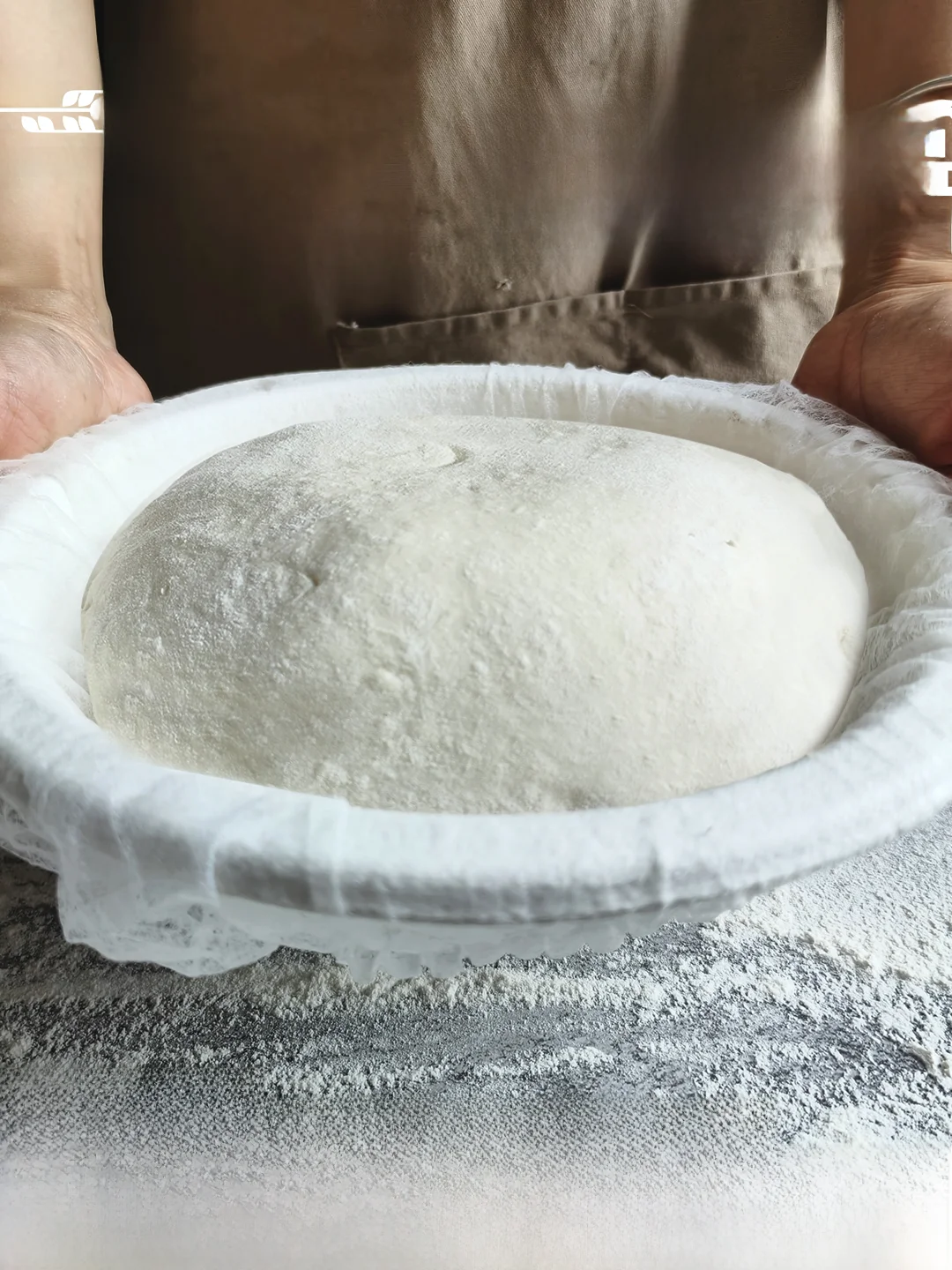 Lucas Baking Special Bread Paper Mold Country Sle Yeast Basket European Design Non-Sti Dough Fermentation Tray
Lucas Baking Special Bread Paper Mold Country Sle Yeast Basket European Design Non-Sti Dough Fermentation Tray