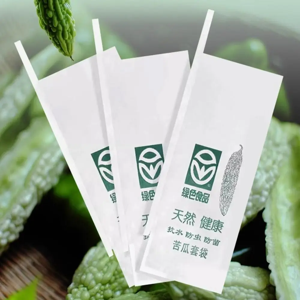 100pcs Breathable Balsam Pear Protection Bags Against Insect Generic Loofah Grow Bags Practical Vegetable Protection Cover
100pcs Breathable Balsam Pear Protection Bags Against Insect Generic Loofah Grow Bags Practical Vegetable Protection Cover
