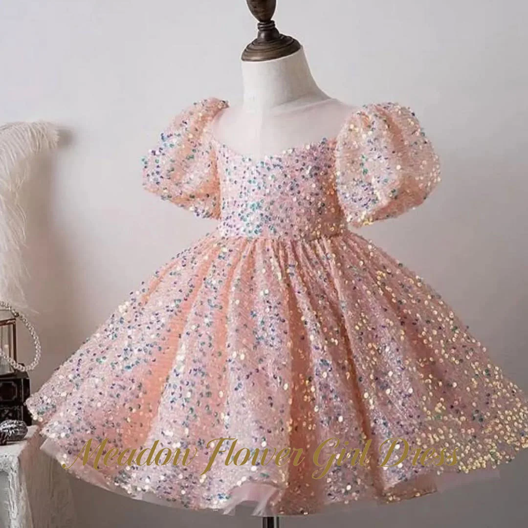 Meadow Pink Glitter Sequin Princess Girls Dress Zipper Back Ball Gown Party Tutu Dress A-Line Short Sleeve Tutu Fluffy Prom Gown
Meadow Pink Glitter Sequin Princess Girls Dress Zipper Back Ball Gown Party Tutu Dress A-Line Short Sleeve Tutu Fluffy Prom Gown