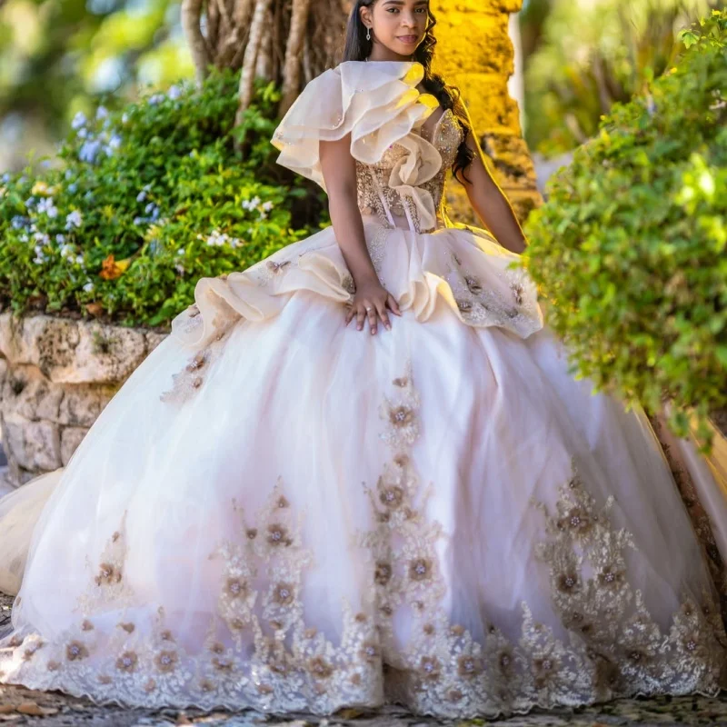 Light Champagne Quinceanera Dress off-shoulder 3D Flower Glitter Decal Long tail Bow vestidos de 15 Quinceanera Customize
Light Champagne Quinceanera Dress off-shoulder 3D Flower Glitter Decal Long tail Bow vestidos de 15 Quinceanera Customize