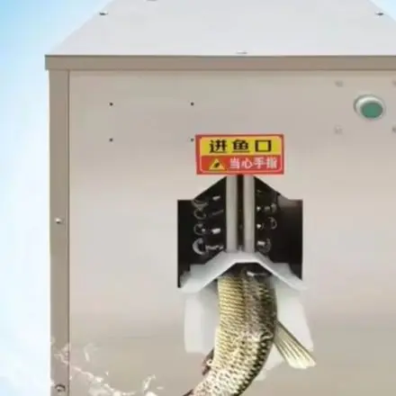Commercial Small Fish Back Opening Machine Scale Killing And Fish Meat Cutting Device for Kitchen And Restaurant Use
Commercial Small Fish Back Opening Machine Scale Killing And Fish Meat Cutting Device for Kitchen And Restaurant Use