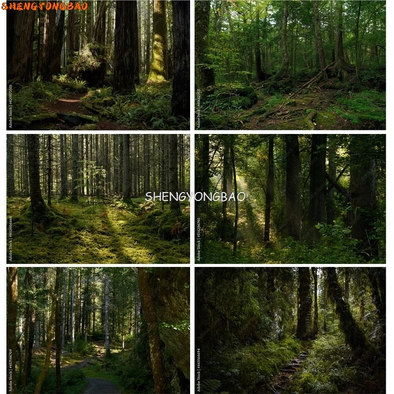 Tropical Rainforest Coniferous Forest Moss Fallen Tree Photography Backdrops Prop Jungle Nature Landscape Theme Background ZL-13
Tropical Rainforest Coniferous Forest Moss Fallen Tree Photography Backdrops Prop Jungle Nature Landscape Theme Background ZL-13
