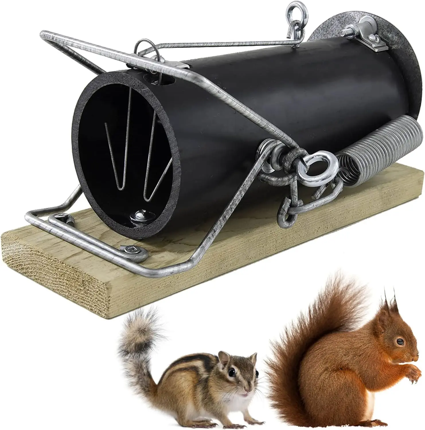 Outdoor Squirrel Trap for Gray Squirrels - Humane Catch and Release
Outdoor Squirrel Trap for Gray Squirrels - Humane Catch and Release