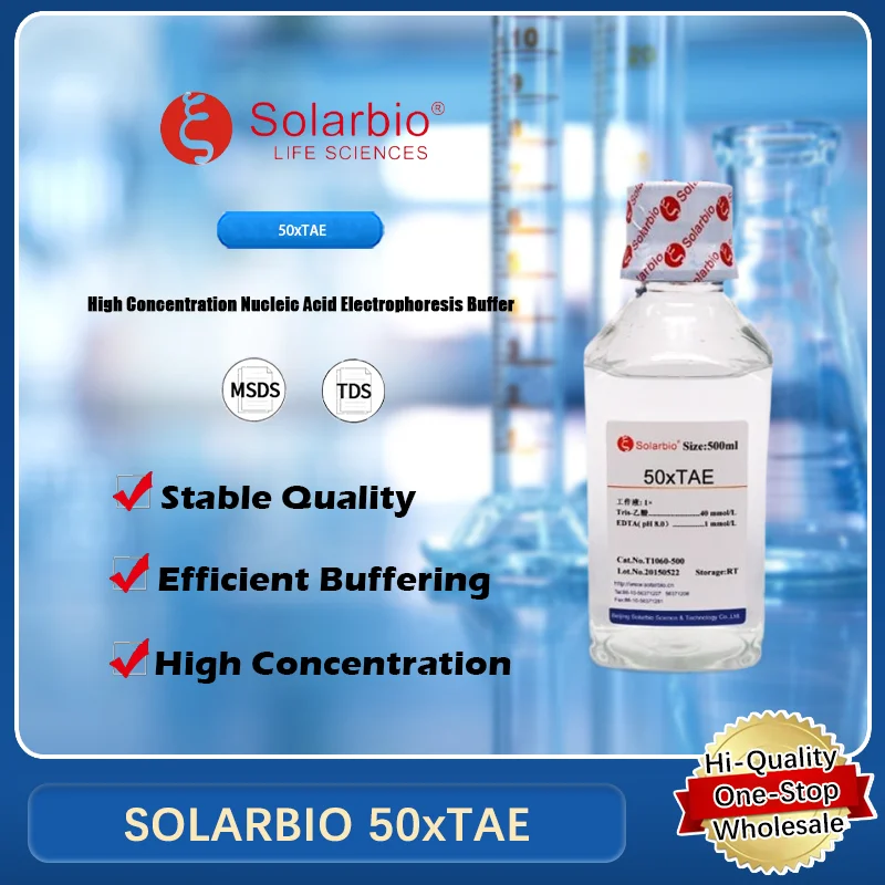 SOLARBIO 50x TAE Молекулярная биология Буферный раствор для электрофореза ядровой кислоты Оригинальный продукт
SOLARBIO 50x TAE Молекулярная биология Буферный раствор для электрофореза ядровой кислоты Оригинальный продукт