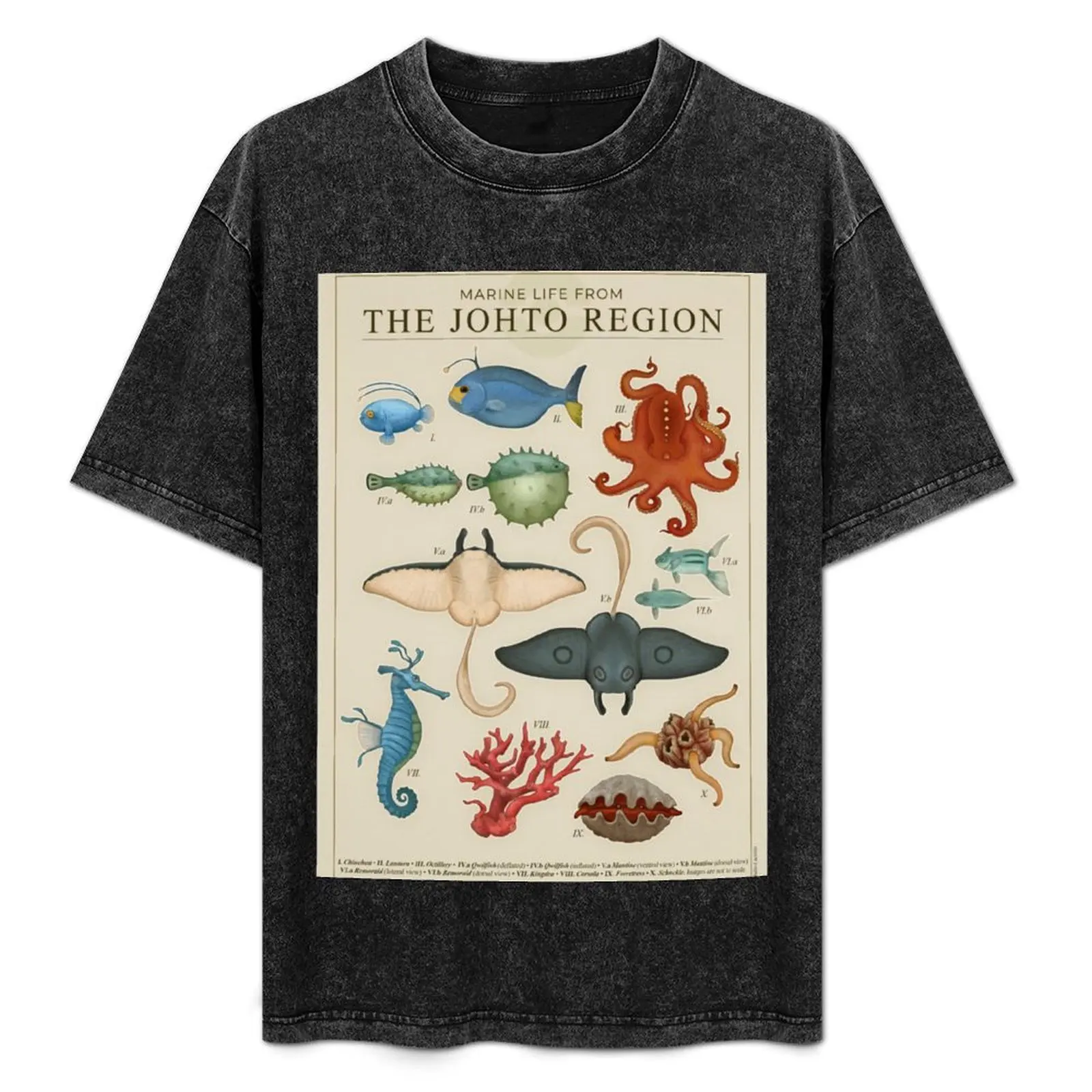Marine Life from Johto T-Shirt Heavy Duty Casual Work Tee
Marine Life from Johto T-Shirt Heavy Duty Casual Work Tee