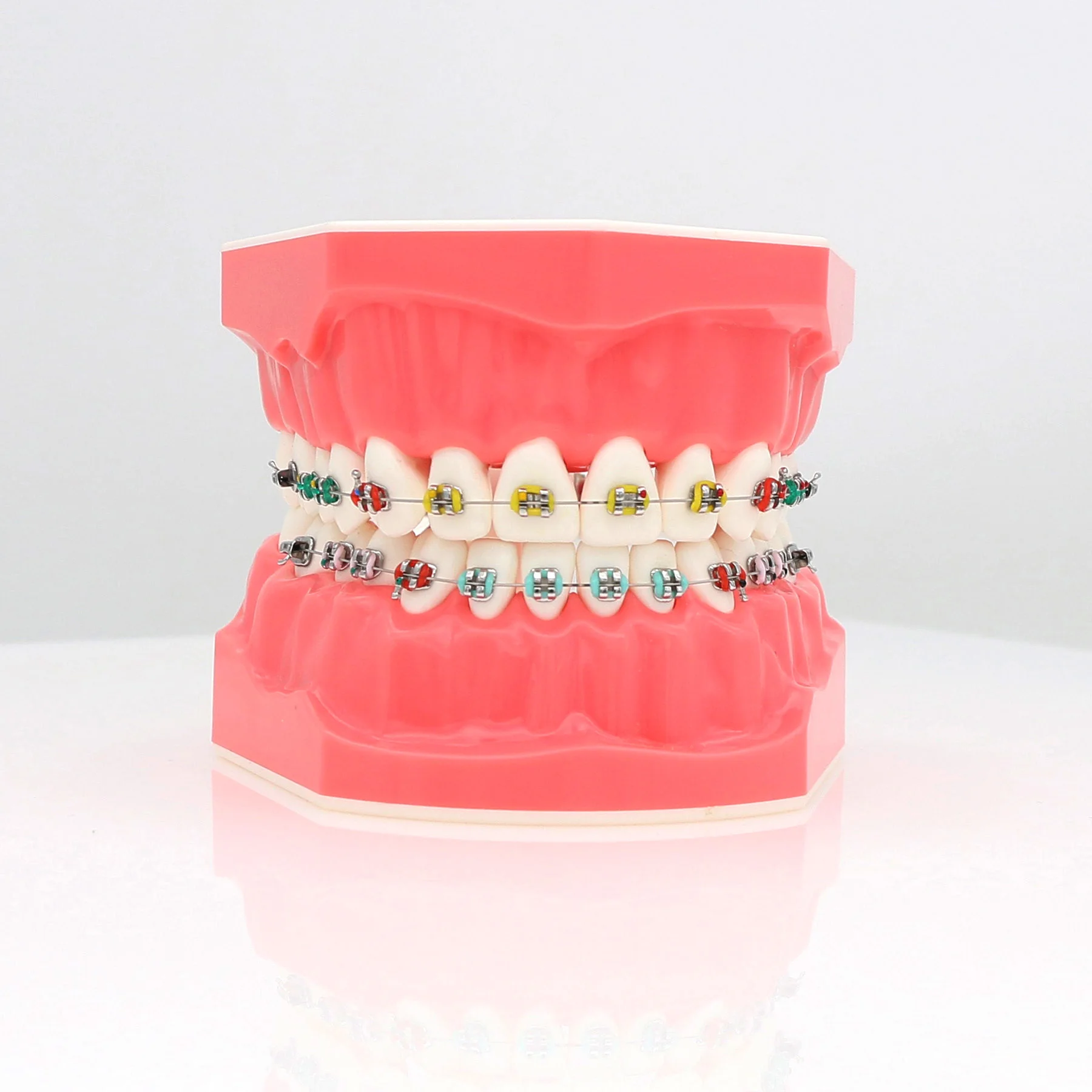 Dental Typodonts Teeth Model M7010-2 Orthodontic Teaching Study Demonstration Tool Standard Dentist student for Teaching
Dental Typodonts Teeth Model M7010-2 Orthodontic Teaching Study Demonstration Tool Standard Dentist student for Teaching
