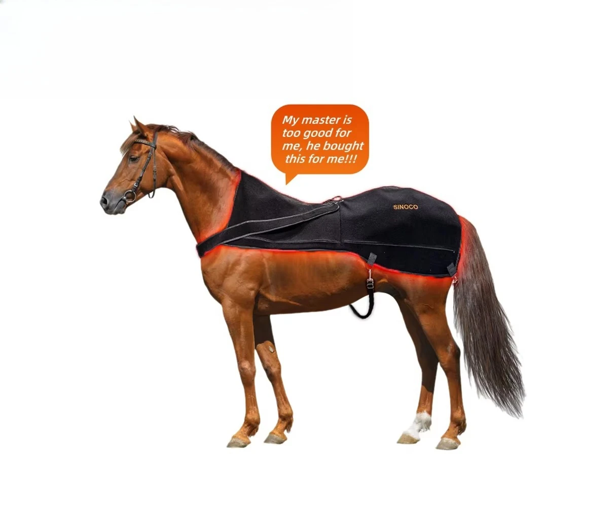 Red Light Equine Back Therapy Veterinary Instrument Horse Infrared Therapy Blanket Horse Racing Equestrian Rug HealthCare
Red Light Equine Back Therapy Veterinary Instrument Horse Infrared Therapy Blanket Horse Racing Equestrian Rug HealthCare