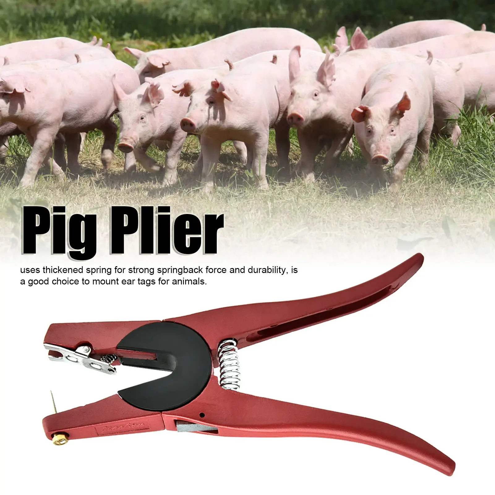 Red Alloy Ear Tag Plier for Livestock Ergonomic Animal Ear Tag Applicator Tool for Pigs Cattle Sheep
Red Alloy Ear Tag Plier for Livestock Ergonomic Animal Ear Tag Applicator Tool for Pigs Cattle Sheep