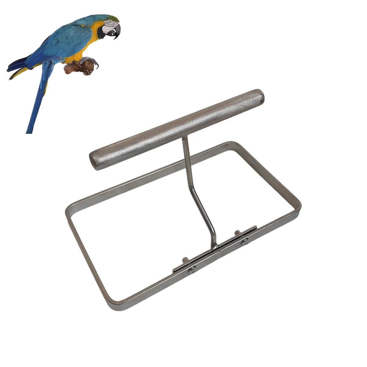 Stainless Steel Parrot Playstand For Desktop Parakeet Cockatiel Lovebi Branch Perches Chew Bite Stick Bird Desktop Stand Rack
Stainless Steel Parrot Playstand For Desktop Parakeet Cockatiel Lovebi Branch Perches Chew Bite Stick Bird Desktop Stand Rack