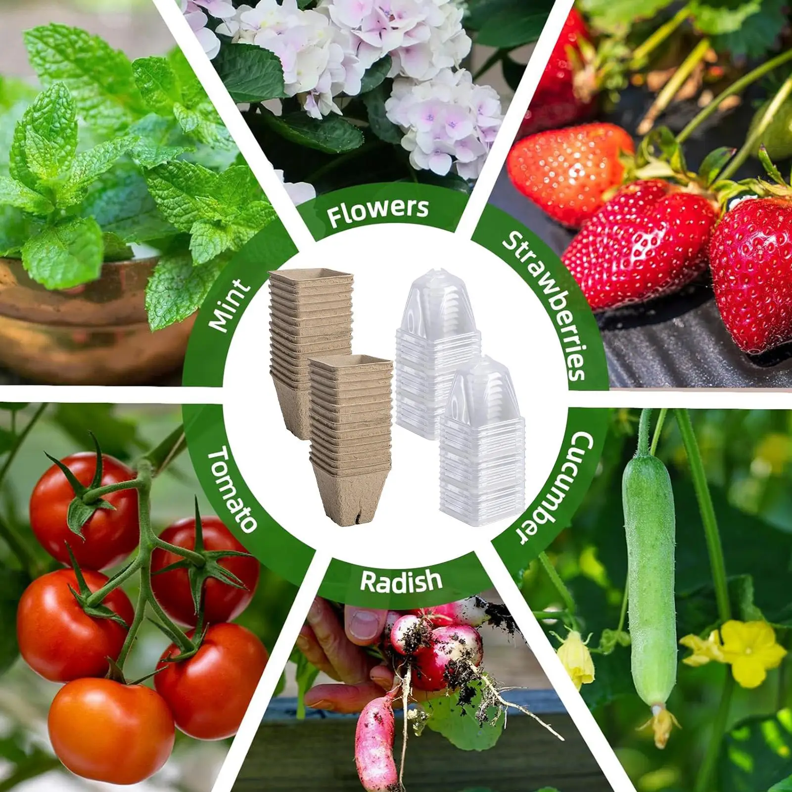 30Pcs Seedling Cup Seed Starter Transparent Lid Cultivation Pot Biodegradable Plant Growing Cup Versatile Gardening Supplies
30Pcs Seedling Cup Seed Starter Transparent Lid Cultivation Pot Biodegradable Plant Growing Cup Versatile Gardening Supplies