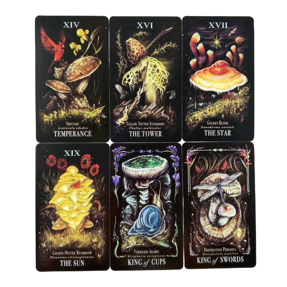 Midnight Magic Tarot Deck Of Mushrooms Cards A 78 Deck Oracle English Visions Divination Edition Borad Playing Games
Midnight Magic Tarot Deck Of Mushrooms Cards A 78 Deck Oracle English Visions Divination Edition Borad Playing Games