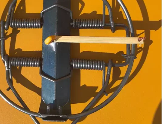 New type of close hole metal switch vacuum suction cup without sealing strip multi-point porous vacuum suction cup
New type of close hole metal switch vacuum suction cup without sealing strip multi-point porous vacuum suction cup