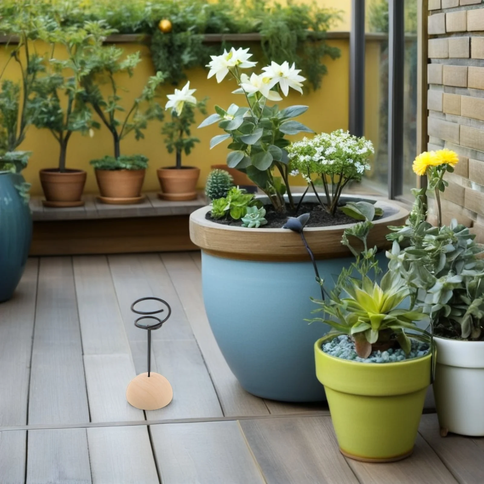 Набор из 5 деревянных подставок для растений в форме спирали, для растений без почвы, для суккулентов, для дома, офиса, балкона, рабочего стола
Набор из 5 деревянных подставок для растений в форме спирали, для растений без почвы, для суккулентов, для дома, офиса, балкона, рабочего стола