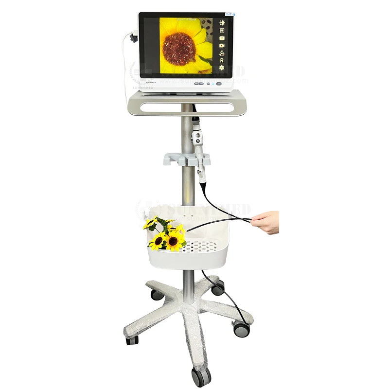 SY-P029-3 Portable Flexible Video Ureteroscope Laryngoscope Disposable Ureteroscope Cystoscopy Percutaneous Nephroscopy
SY-P029-3 Portable Flexible Video Ureteroscope Laryngoscope Disposable Ureteroscope Cystoscopy Percutaneous Nephroscopy