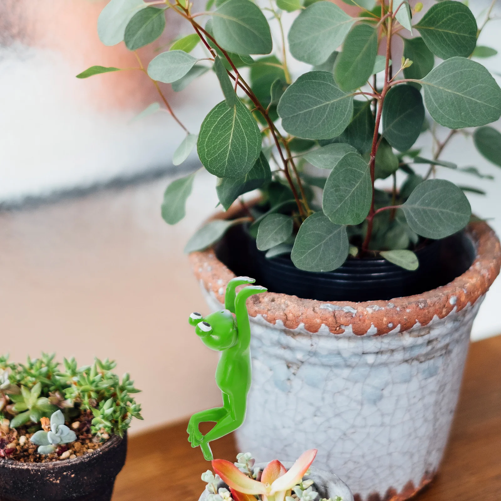 Lifelike Frog Resin Sculpture Cute Hanging Decor for Garden Balcony Indoor Spaces Mini Resin Frog Cute Hanging Frogs Decoration
Lifelike Frog Resin Sculpture Cute Hanging Decor for Garden Balcony Indoor Spaces Mini Resin Frog Cute Hanging Frogs Decoration