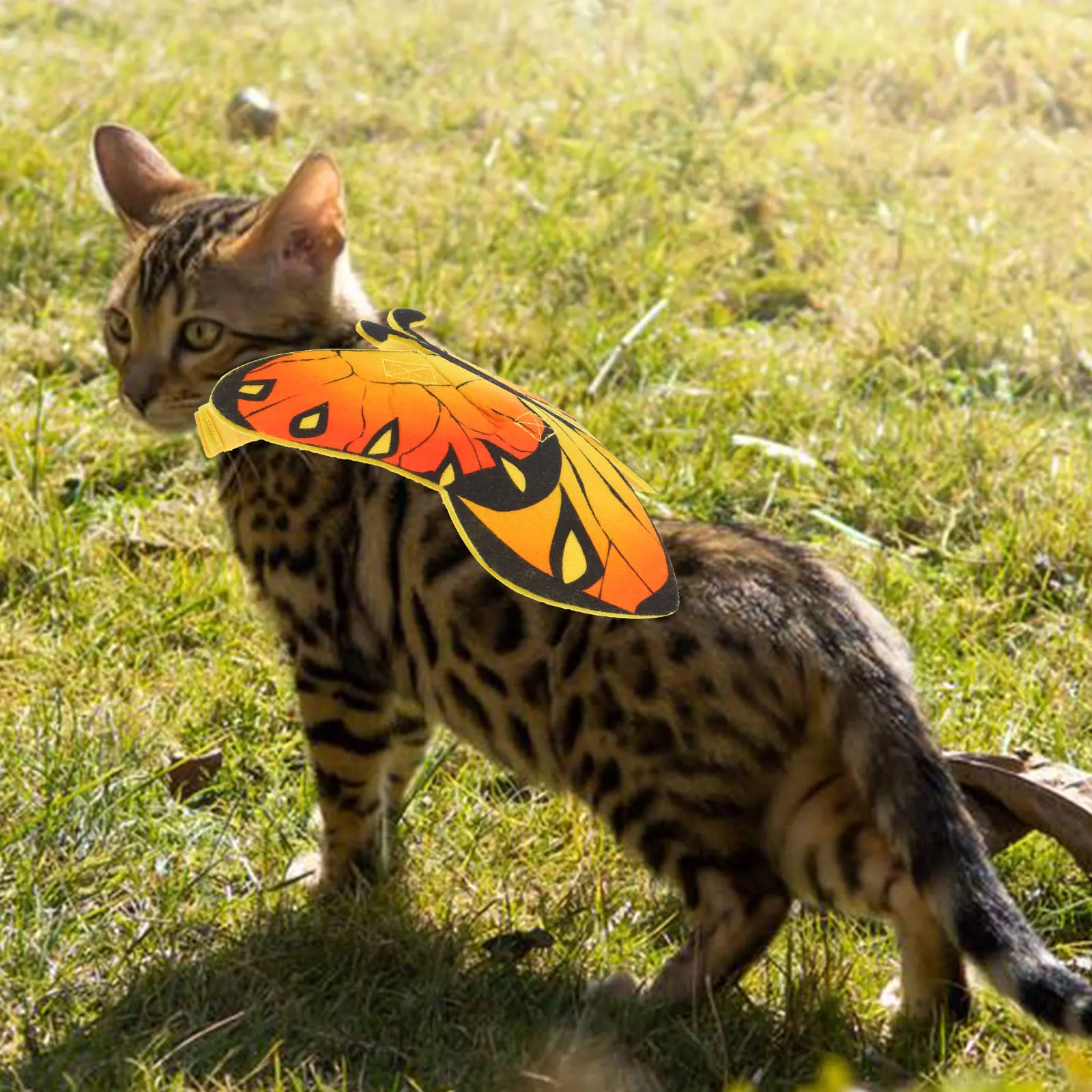 Pet Butterfly Printed Costume Halloween Cat Garment Dog Clothes Lightweight Festive Outfit Transform Wear Special Party Pet
Pet Butterfly Printed Costume Halloween Cat Garment Dog Clothes Lightweight Festive Outfit Transform Wear Special Party Pet