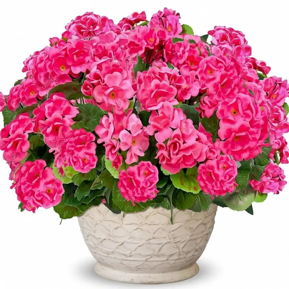Silk Pink Geraniums, 4 Sets, UV-Resistant, Suitable for Outdoor and Indoor Summer Decorations, Ideal for Gardens, Porches, and C
Silk Pink Geraniums, 4 Sets, UV-Resistant, Suitable for Outdoor and Indoor Summer Decorations, Ideal for Gardens, Porches, and C